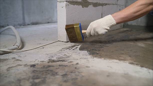 24/7 Emergency Wet Basement Repair experts in Vestaburg, MI